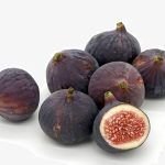 Fig