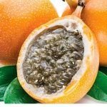 Granadilla