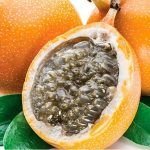 Granadilla