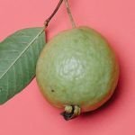 Guava
