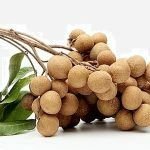 longan