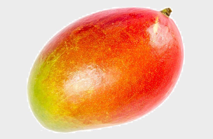 Benefits of mango | mango health benefits