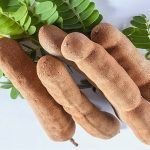Tamarind