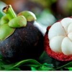 mangosteen fruits