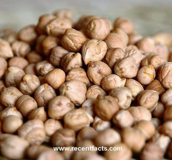 Chickpeas benefits and side effects