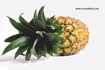 Benefits of Pineapple Juice, nutrition, Pineapple side effects
