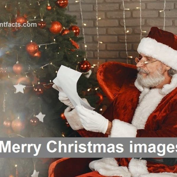 Merry Christmas images & pictures 2022