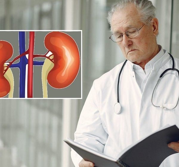 kidney disease: what causes kidney disease? Symptoms, treatment