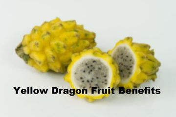 Yellow Dragon Fruit Benefits, Nutrition Facts and Side Effects