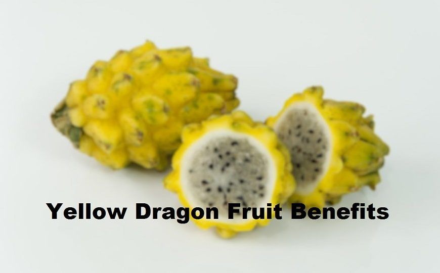 Yellow Dragon Fruit Benefits, Nutrition Facts and Side Effects