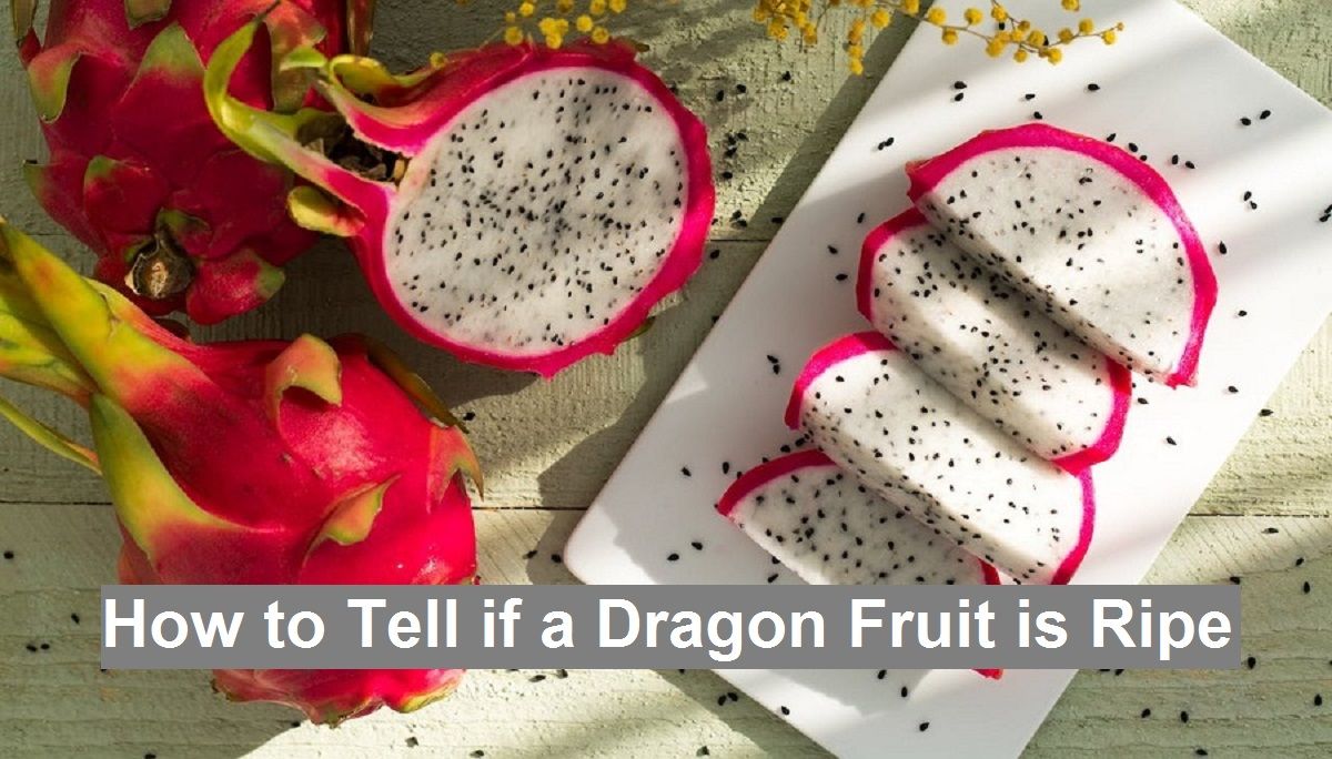 How to Tell if a Dragon Fruit is Ripe