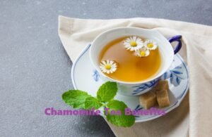 Chamomile Tea Benefits